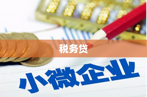 武川税务贷