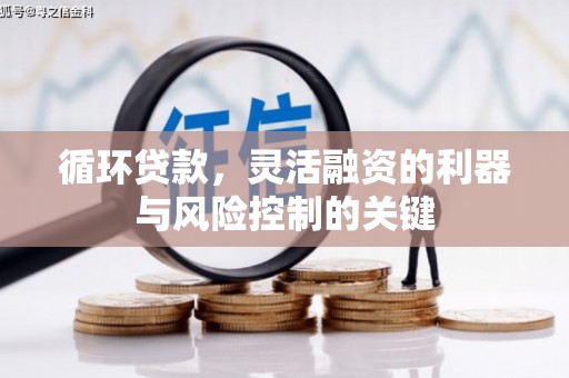 武川循环贷款，灵活融资的利器与风险控制的关键