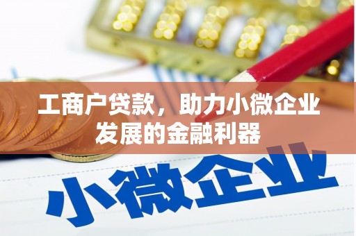 武川工商户贷款，助力小微企业发展的金融利器