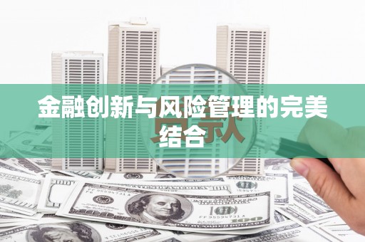 武川金融创新与风险管理的完美结合