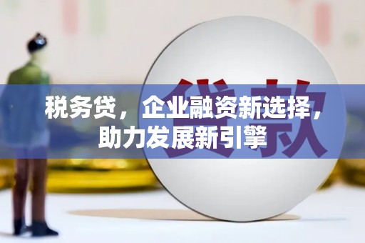 武川税务贷，企业融资新选择，助力发展新引擎