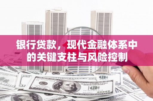 武川银行贷款，现代金融体系中的关键支柱与风险控制