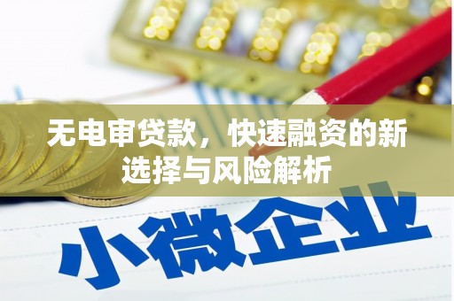 武川无电审贷款，快速融资的新选择与风险解析
