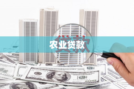 武川农业贷款