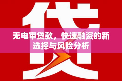 武川无电审贷款，快速融资的新选择与风险分析