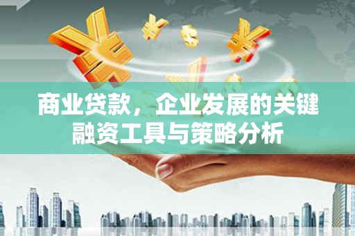 武川商业贷款，企业发展的关键融资工具与策略分析