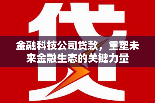 武川金融科技公司贷款，重塑未来金融生态的关键力量
