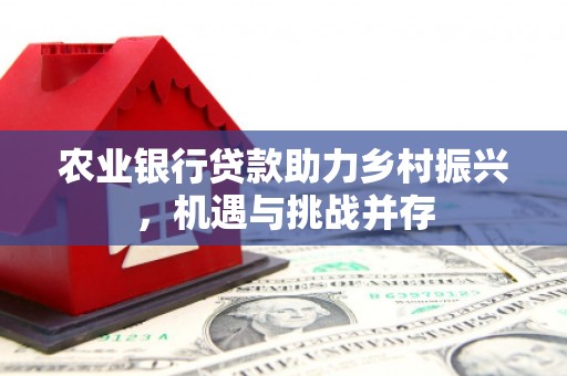 武川农业银行贷款助力乡村振兴，机遇与挑战并存
