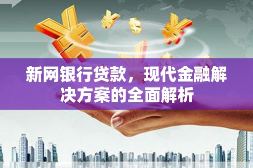 武川新网银行贷款，现代金融解决方案的全面解析