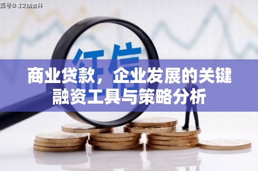 武川商业贷款，企业发展的关键融资工具与策略分析