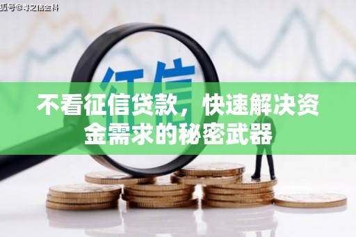 武川不看征信贷款，快速解决资金需求的秘密武器