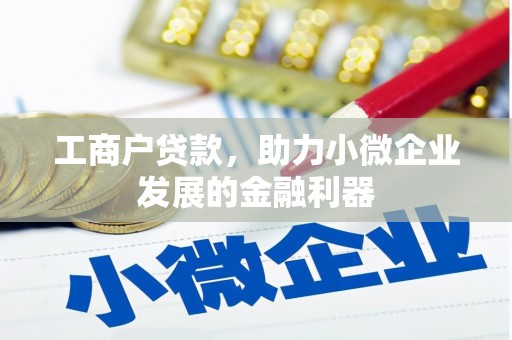 武川工商户贷款，助力小微企业发展的金融利器