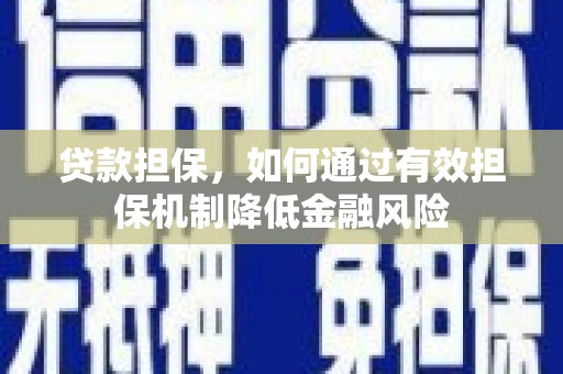 武川贷款担保，如何通过有效担保机制降低金融风险