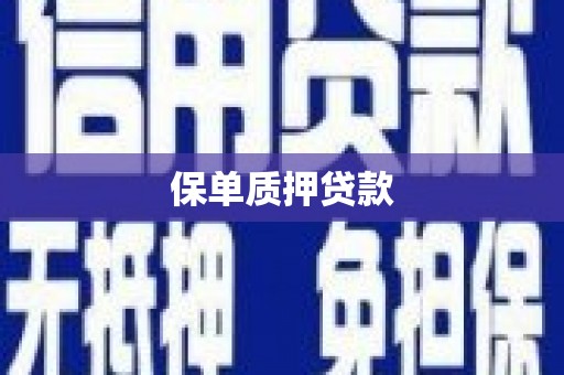 武川保单质押贷款