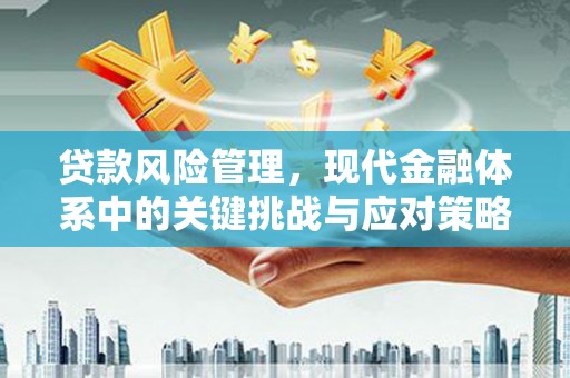 武川贷款风险管理，现代金融体系中的关键挑战与应对策略