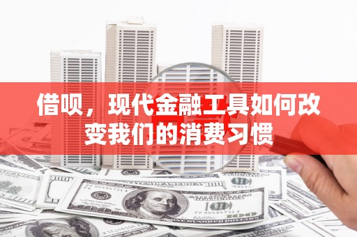 武川借呗，现代金融工具如何改变我们的消费习惯
