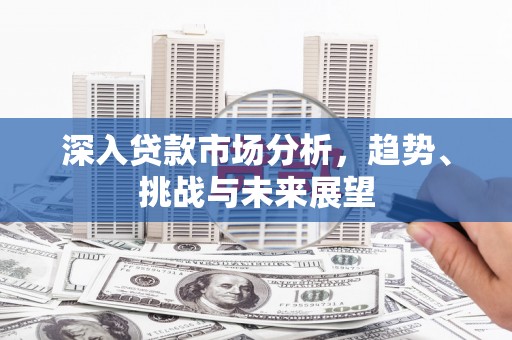 武川深入贷款市场分析，趋势、挑战与未来展望