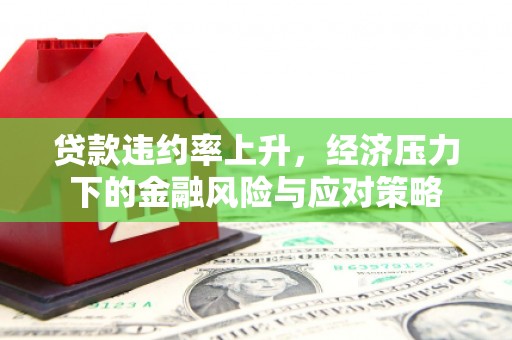 武川贷款违约率上升，经济压力下的金融风险与应对策略