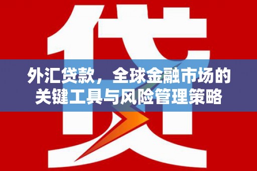 武川外汇贷款，全球金融市场的关键工具与风险管理策略