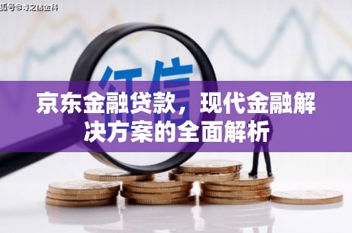 武川京东金融贷款，现代金融解决方案的全面解析