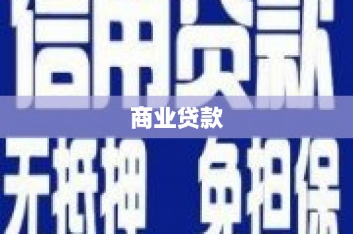 武川商业贷款
