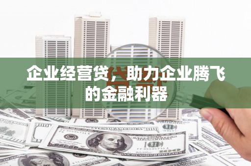 武川企业经营贷，助力企业腾飞的金融利器