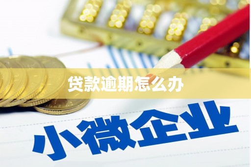 武川贷款逾期怎么办