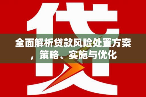 武川全面解析贷款风险处置方案，策略、实施与优化