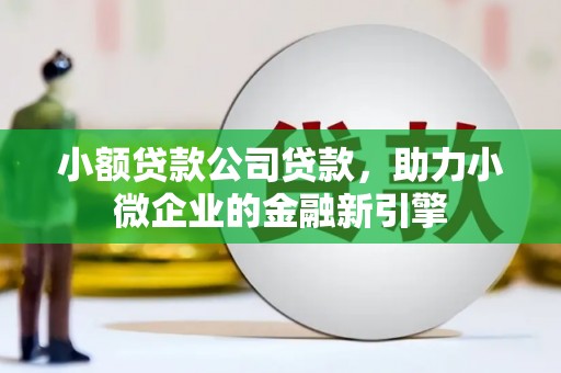 武川小额贷款公司贷款，助力小微企业的金融新引擎