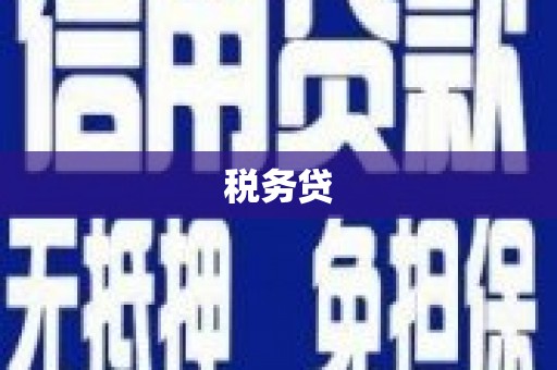 武川税务贷