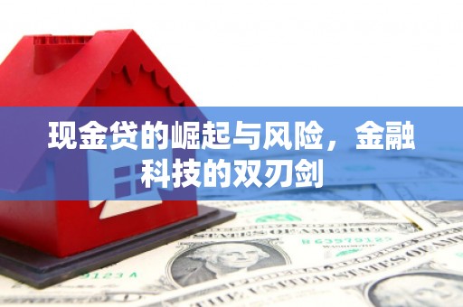 武川现金贷的崛起与风险，金融科技的双刃剑
