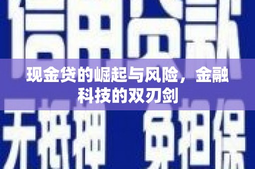 武川现金贷的崛起与风险，金融科技的双刃剑