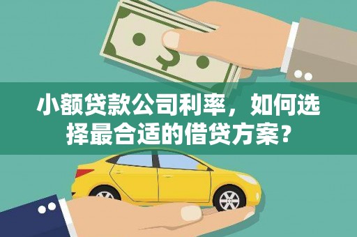 武川小额贷款公司利率，如何选择最合适的借贷方案？