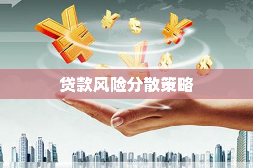 武川贷款风险分散策略