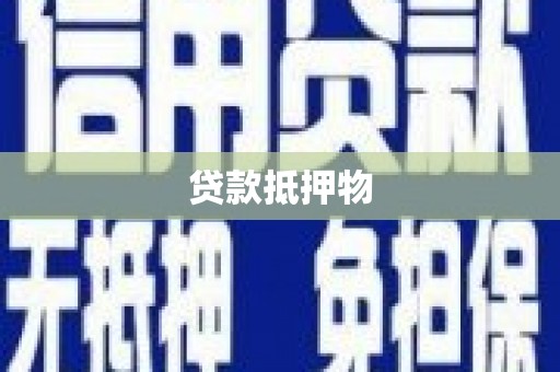 武川贷款抵押物