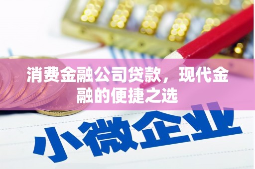武川消费金融公司贷款，现代金融的便捷之选