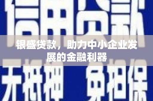 武川银盛贷款，助力中小企业发展的金融利器