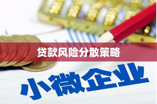 武川贷款风险分散策略