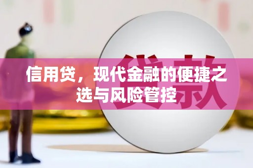 武川信用贷，现代金融的便捷之选与风险管控