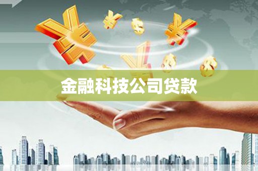 武川金融科技公司贷款