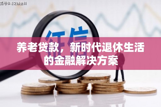 武川养老贷款，新时代退休生活的金融解决方案