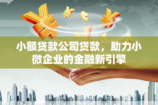 武川小额贷款公司贷款，助力小微企业的金融新引擎