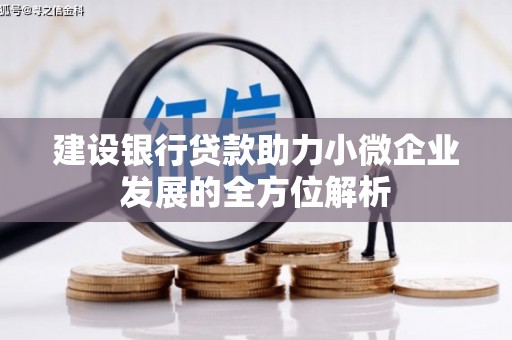武川建设银行贷款助力小微企业发展的全方位解析