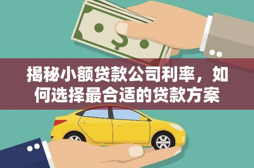 武川揭秘小额贷款公司利率，如何选择最合适的贷款方案