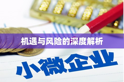武川机遇与风险的深度解析