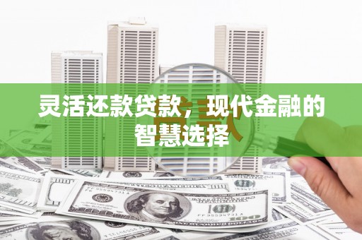 武川灵活还款贷款，现代金融的智慧选择