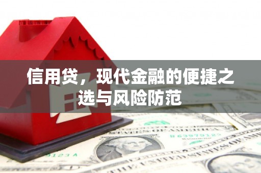 武川信用贷，现代金融的便捷之选与风险防范