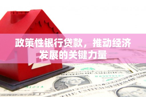 武川政策性银行贷款，推动经济发展的关键力量
