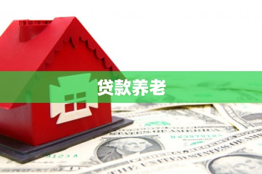 武川贷款养老