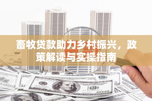 武川畜牧贷款助力乡村振兴，政策解读与实操指南